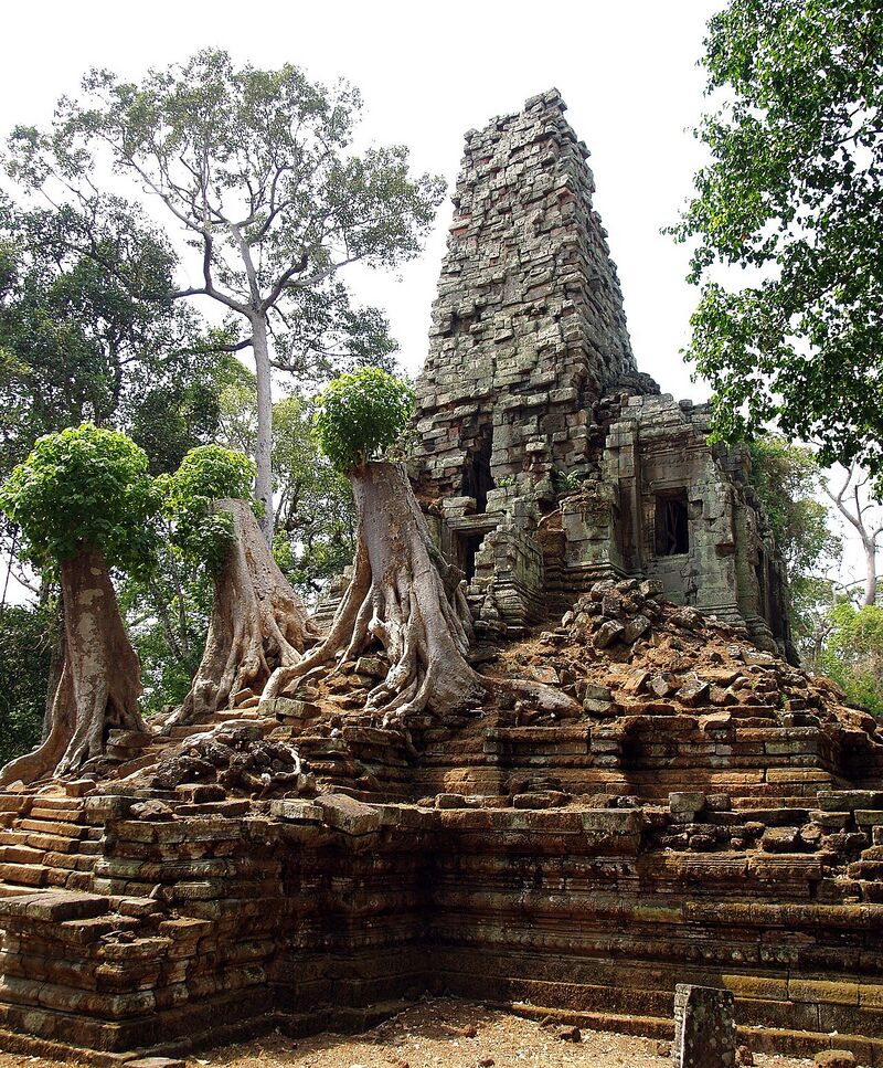 A crumbling sandstone tower rising from a ruined stepped base, with tree roots growing over the stones and tall trees behind.