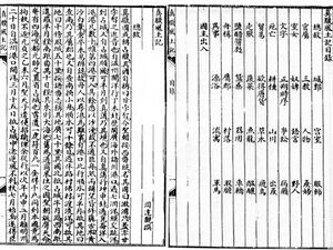 Two pages of vertical Chinese text in columns, printed in black on white.