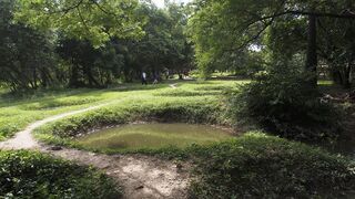Shallow grassy hollows in the ground surrounded by trees and a footpath.