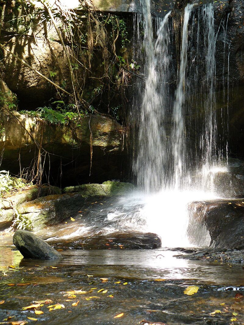 A waterfall pouring over a rock ledge into a shallow pool, with green forest above.