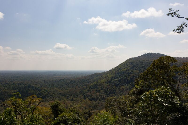 A forested hill rising above a wide plain of trees under a blue sky with small clouds.