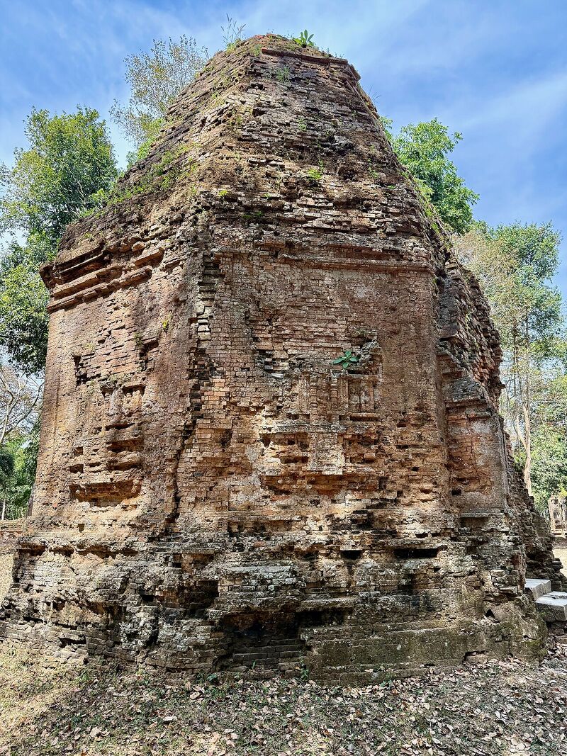 A weathered brick temple tower with carved panels on its walls, standing among dry leaves and trees.