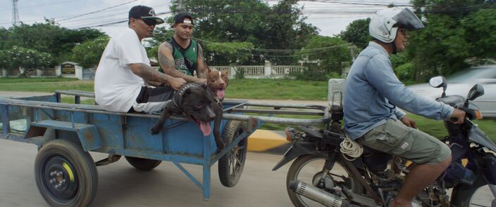 Two men ride a motorbike towing a cart with a passenger along a road lined with trees.