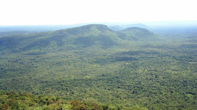 A forested mountain ridge rises above flat forest under a pale sky.