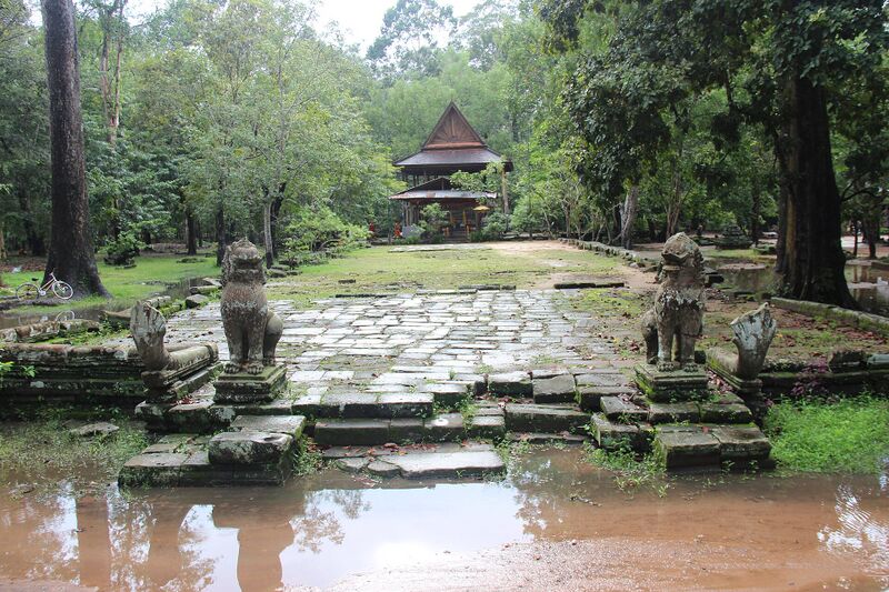 A long paved stone terrace flanked by stone lions, leading through trees to a small roofed shrine, with rain puddles in front.