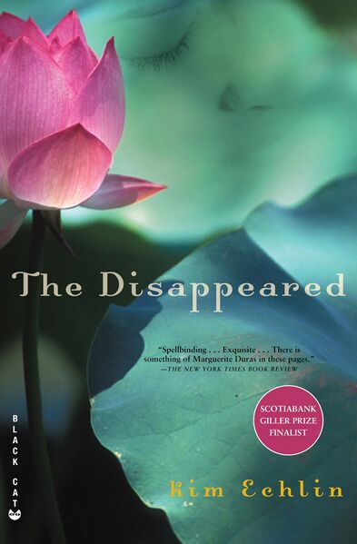 File:The Disappeared cover.jpg