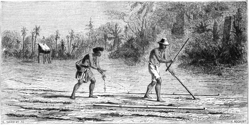 A black and white engraving of two men working a field with sticks, trees behind them.