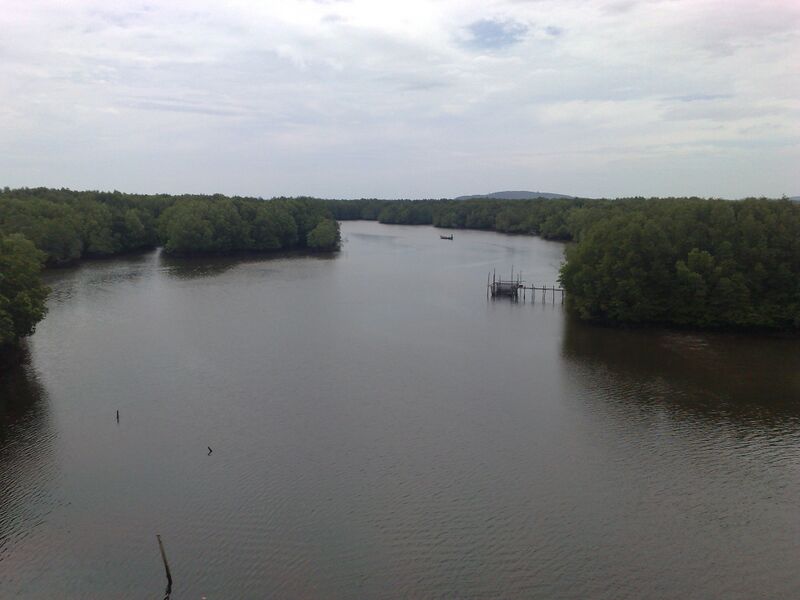 A wide, calm river runs into the distance between low banks of dense green mangrove forest under an overcast sky. A small wooden jetty stands in the water on the right, and hills show faintly on the horizon.