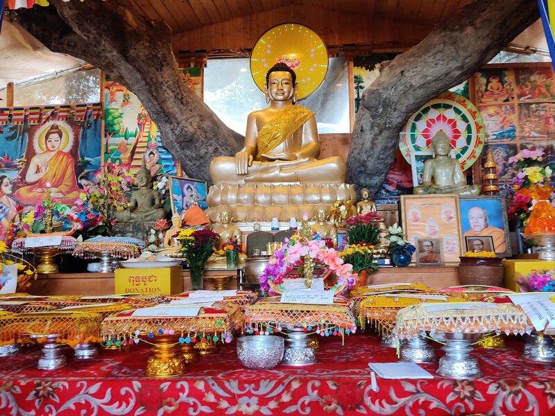 Golden seated Buddha with a halo between the trunks of a tree, surrounded by smaller Buddhas, paintings, flowers and offering trays on a red cloth.