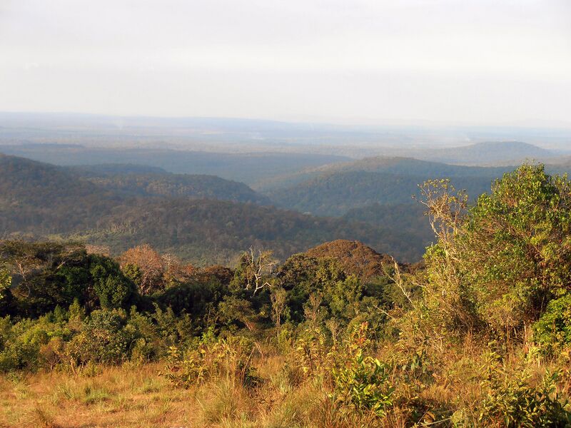 Rolling forested hills stretching to the horizon under a hazy sky, with dry grass in the foreground.